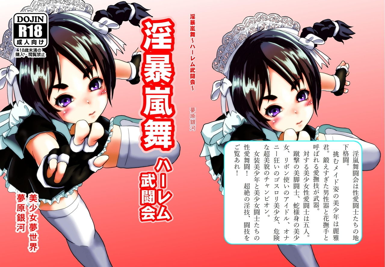 サンプル画像1:淫暴嵐舞～ハーレム武闘会～(美少女夢世界) [d_158070]