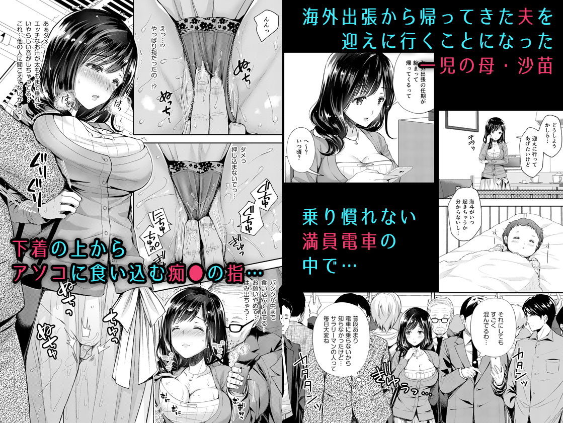 サンプル画像1:恥辱の痴○電車3～人妻車内強制授乳～(Sugar＊Berry＊Syrup) [d_158519]