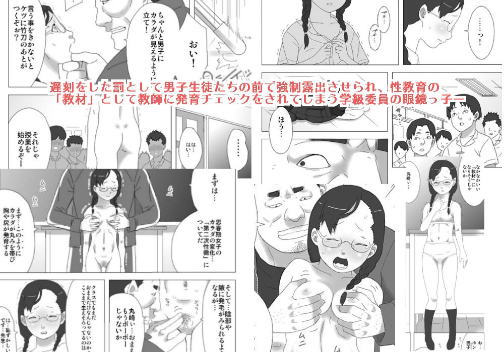 サンプル画像2:羞恥性教育-ハラスメントの概念が失われた教育現場-(STRAY TIGER) [d_158715]