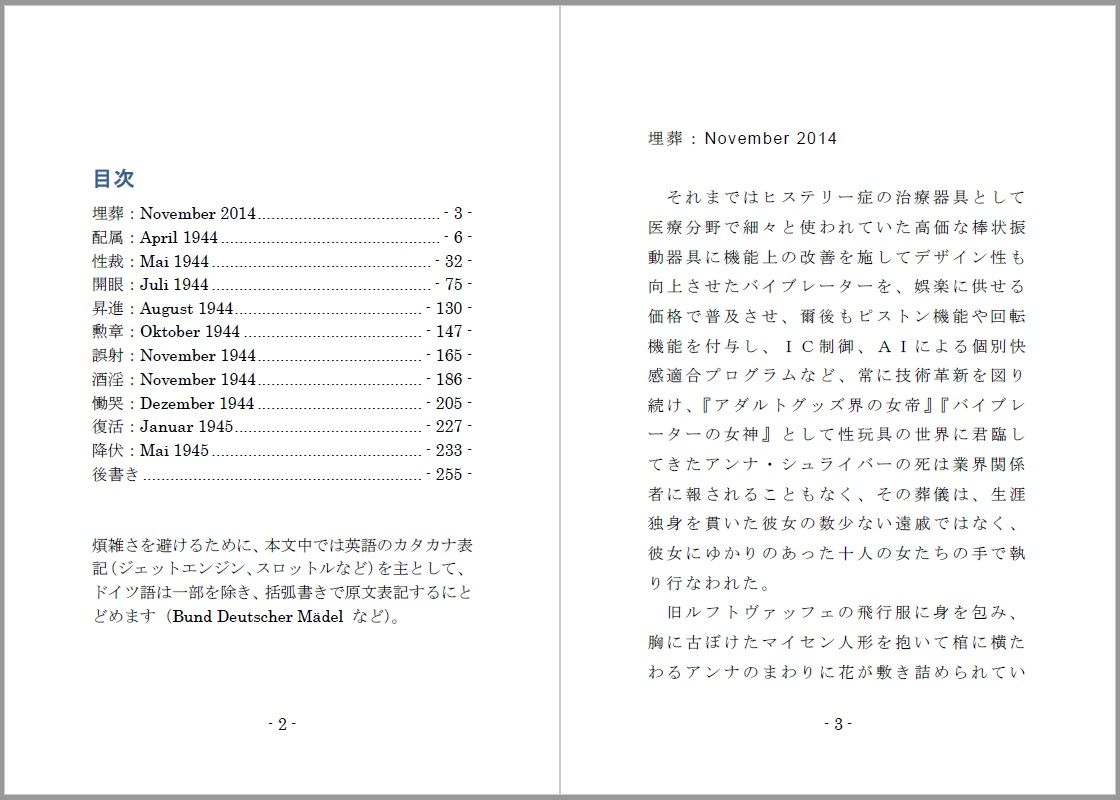 サンプル画像1:火竜と翔けたアクメの空(SMX工房) [d_159265]