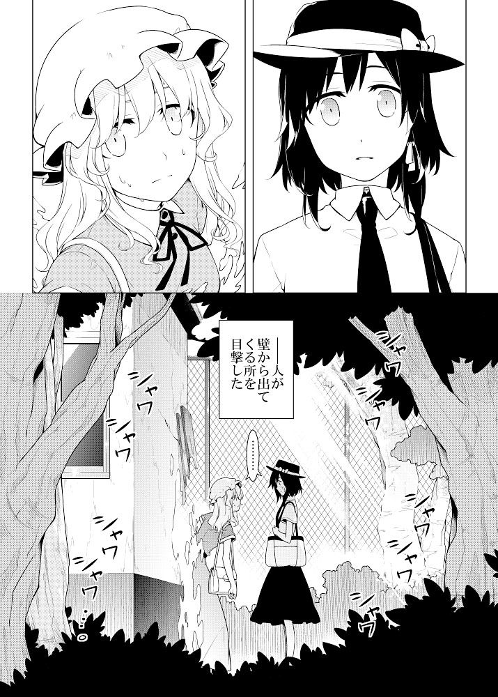 サンプル画像1:そして秘封へと至る。(PERSONAL COLOR) [d_159856]