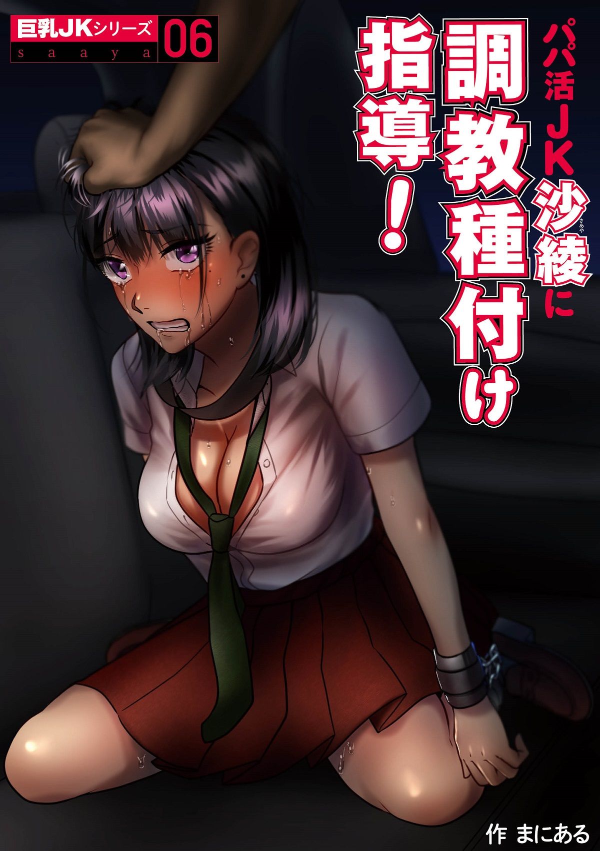 サンプル画像6:巨乳JKシリーズ 6 パパ活JK沙綾に調教種付け指導！(ぷるるん) [d_160309]