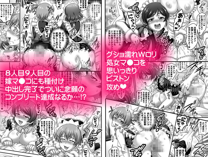 サンプル画像3:俺嫁催眠6 ～9人メイドパーティ編～【高解像度改訂版】(黒雪) [d_160623]