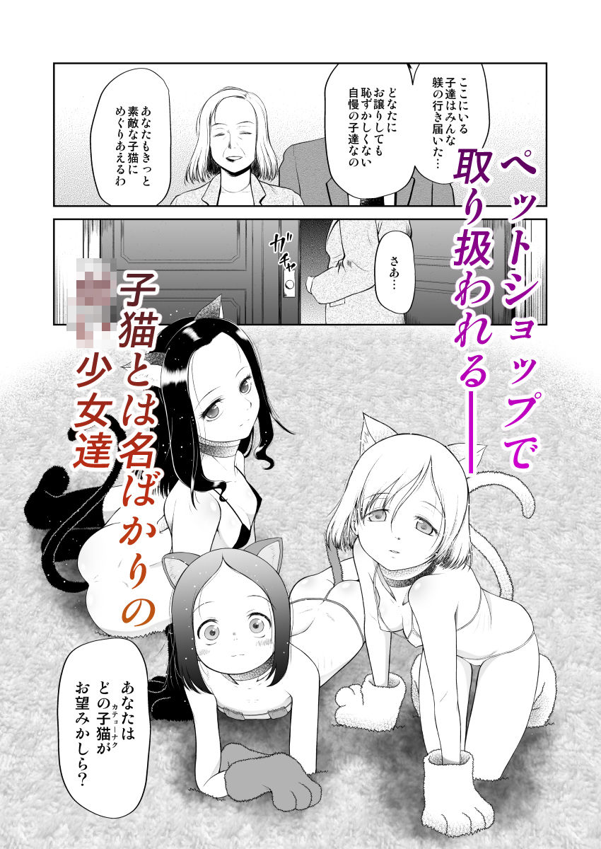 サンプル画像1:ペットショップの子猫(乳性貧) [d_161906]