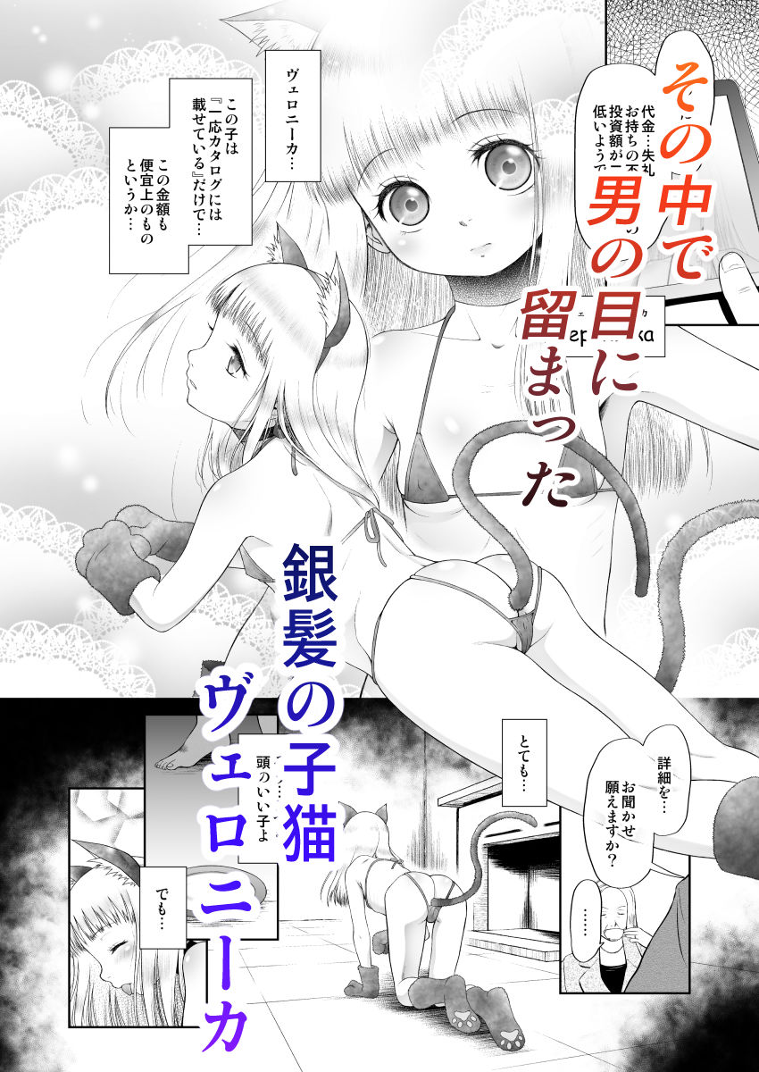 サンプル画像2:ペットショップの子猫(乳性貧) [d_161906]