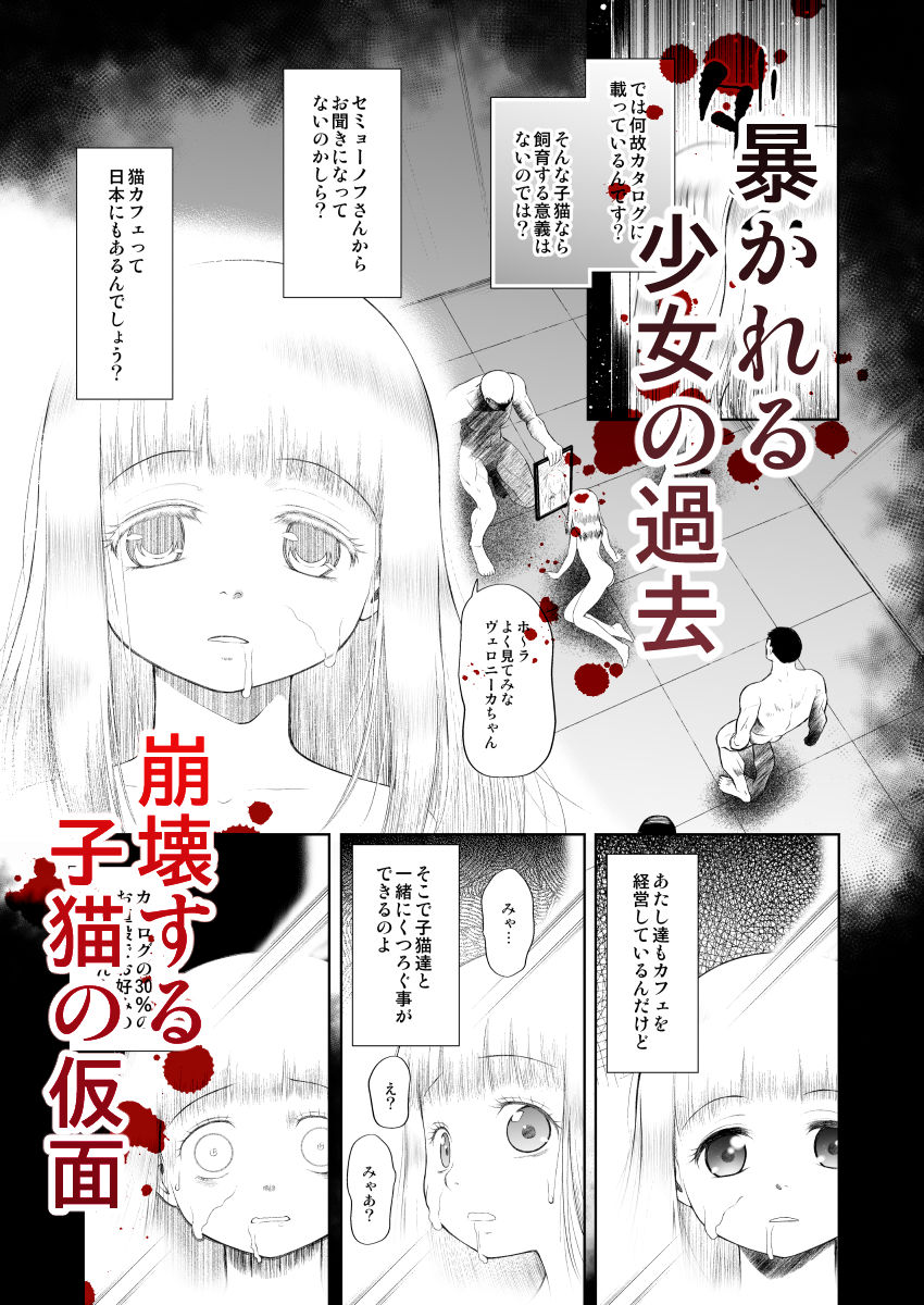 サンプル画像4:ペットショップの子猫(乳性貧) [d_161906]