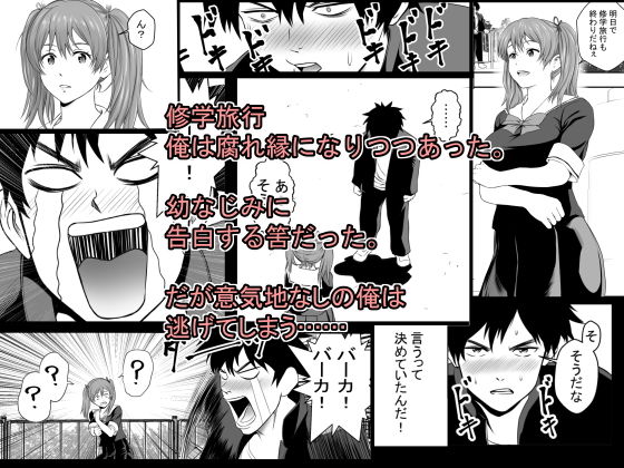 サンプル画像1:修学旅行最終夜(フリーダムプロフェット) [d_162568]