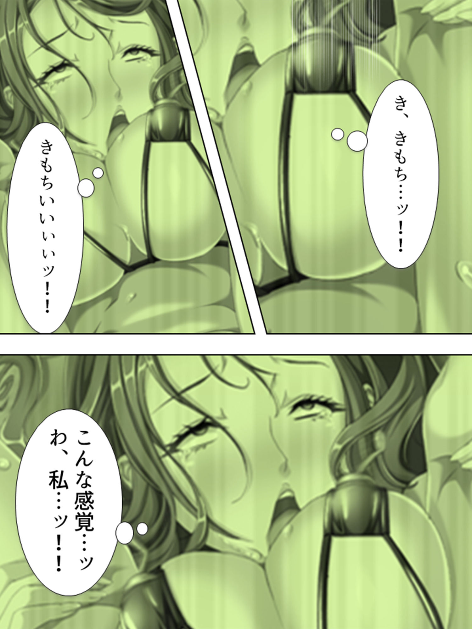 私はその日、見知らぬ男達に捕まって犯されました 下巻