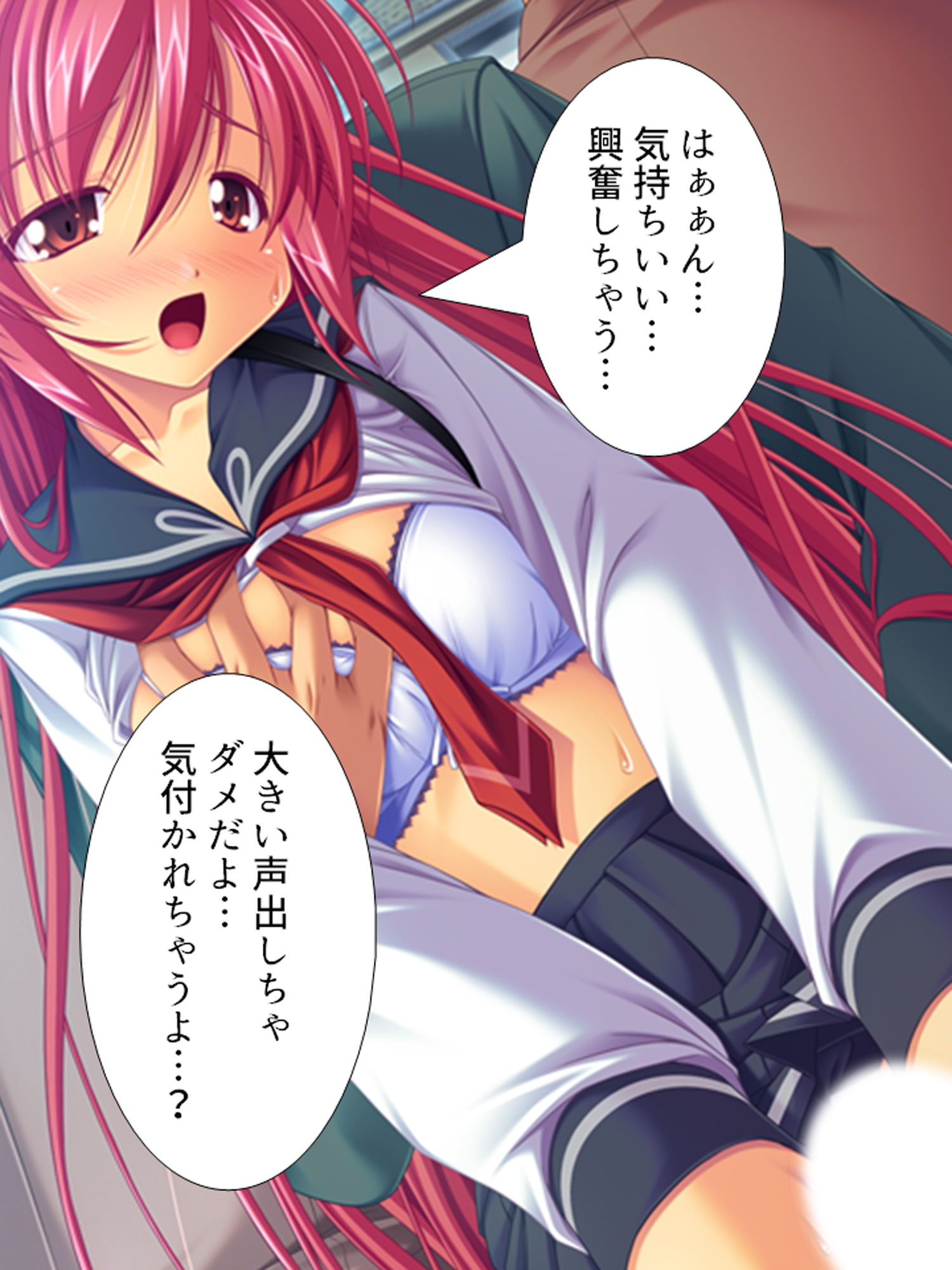 サンプル画像2:通学電車での痴漢プレイにドはまりした変態JK(アロマコミック) [d_165690]