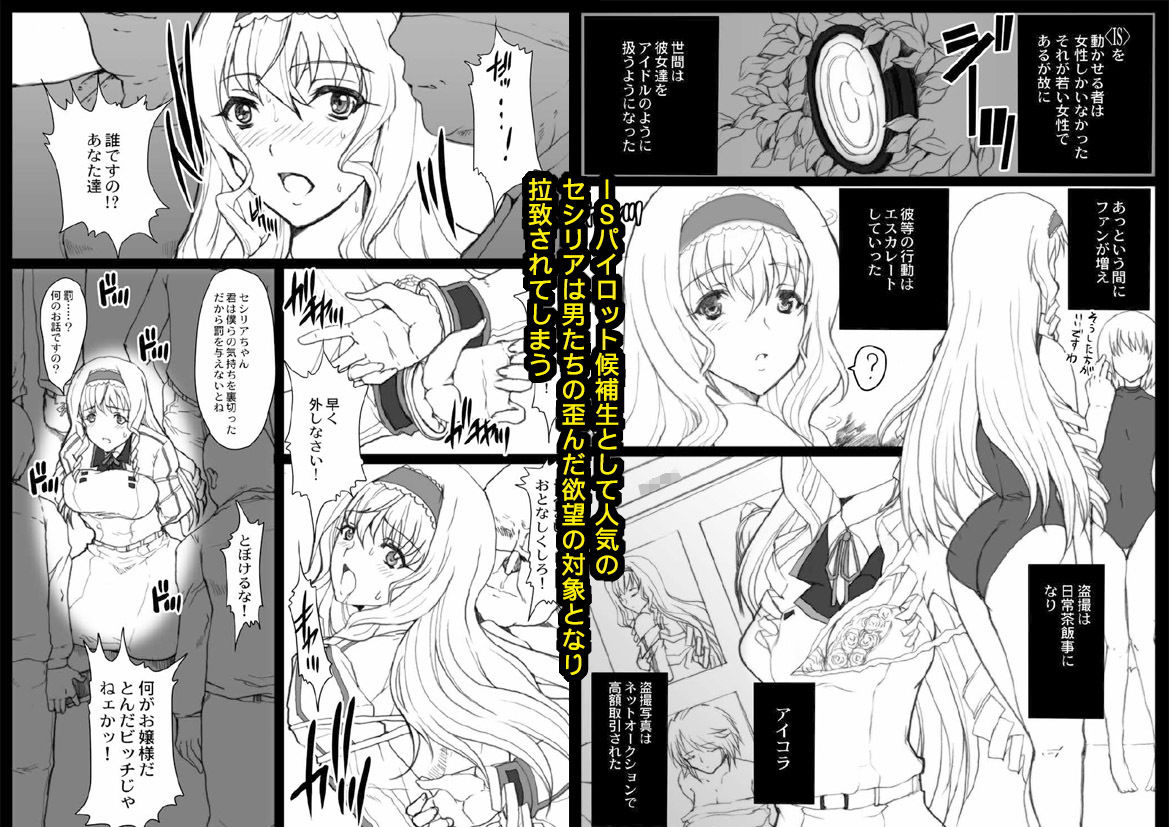 サンプル画像2:IS総集編2011～2012(ねことはと) [d_167572]