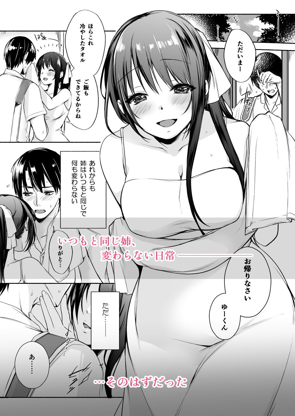 サンプル画像4:姉、秘め事(pecorice) [d_167690]