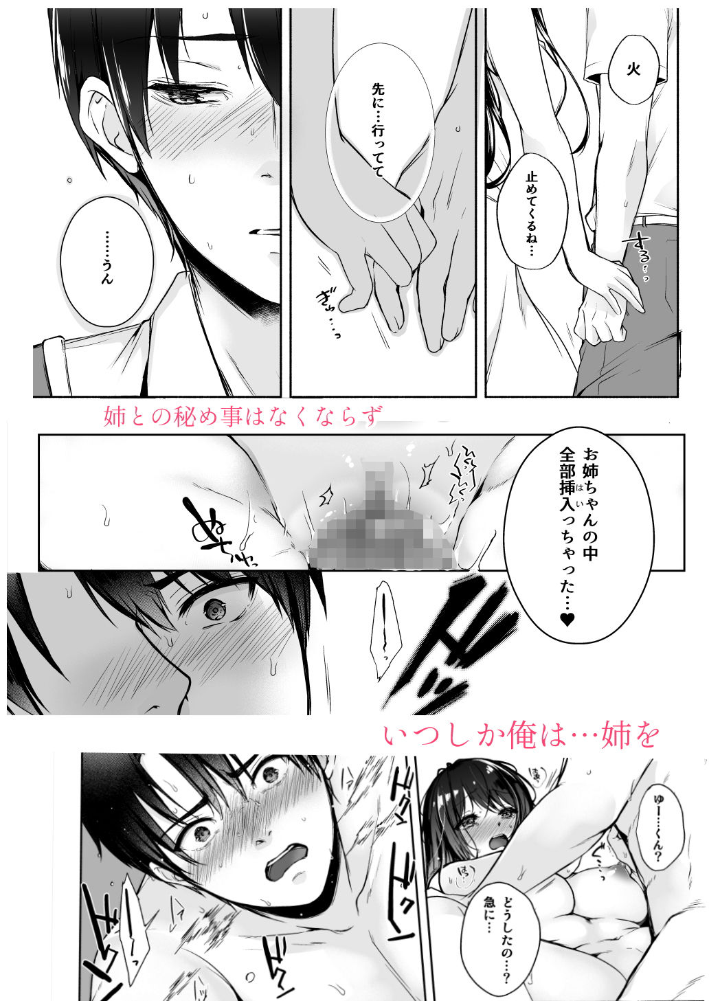 サンプル画像5:姉、秘め事(pecorice) [d_167690]