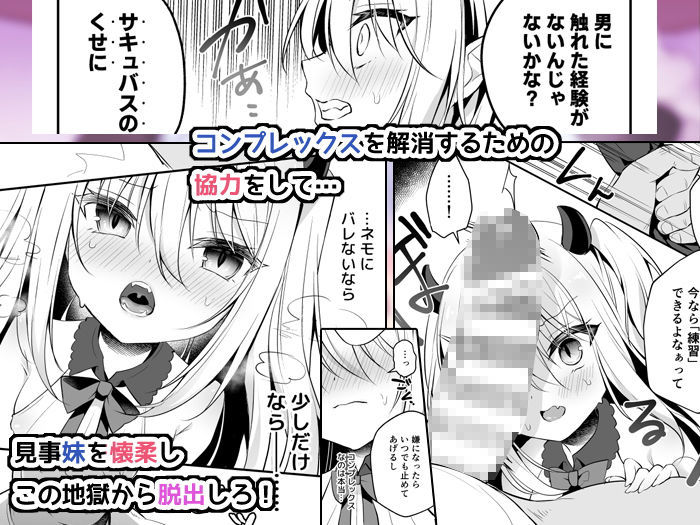 サンプル画像2:無知っこサキュバス調教開発(蒼色彼方) [d_167803]