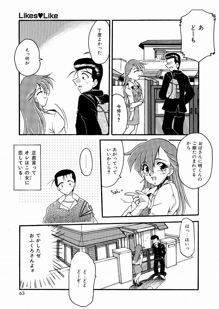 サンプル画像2:Likes▽Like（HOMRA-WORKS DH010）(HOMRA-BRAND) [d_169713]