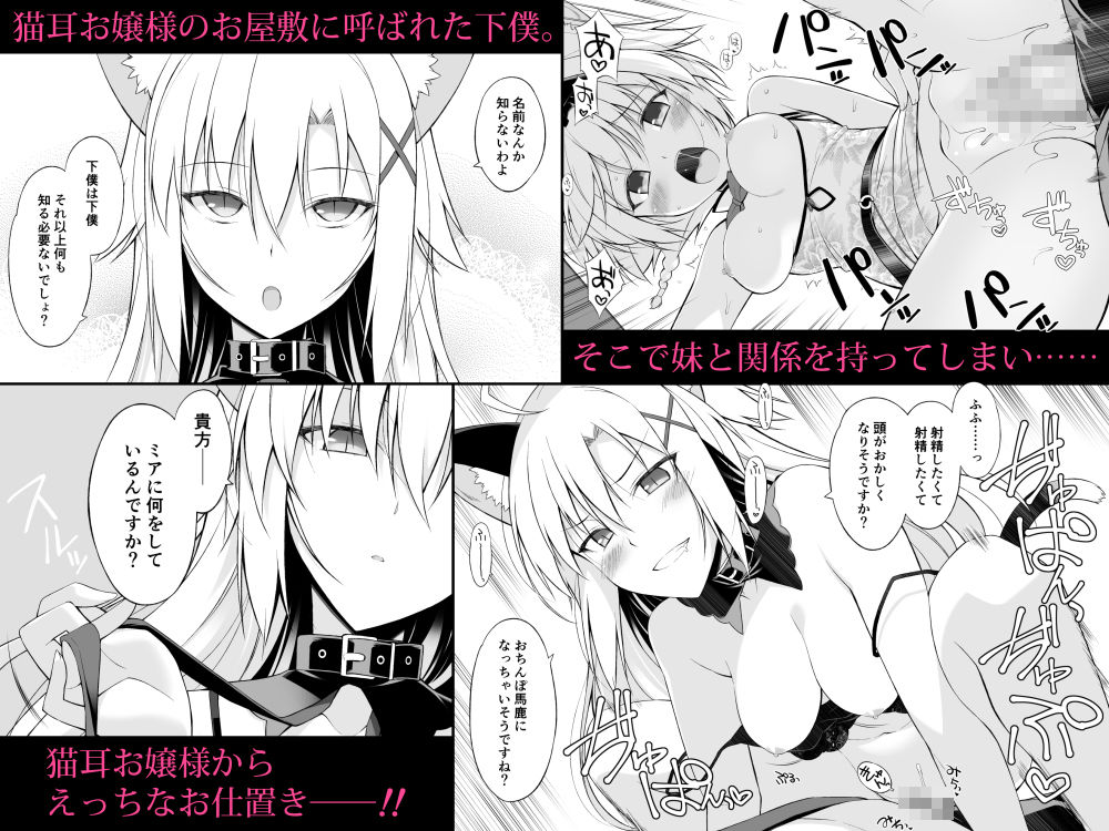 サンプル画像1:ねことげぼくII(Digital Flyer) [d_170586]