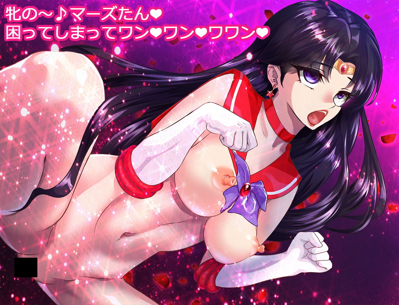 サンプル画像4:セーラー戦士●●ムーン寝取られたうさぎちゃん漫画版第二部(アリオンキャンバス) [d_170701]