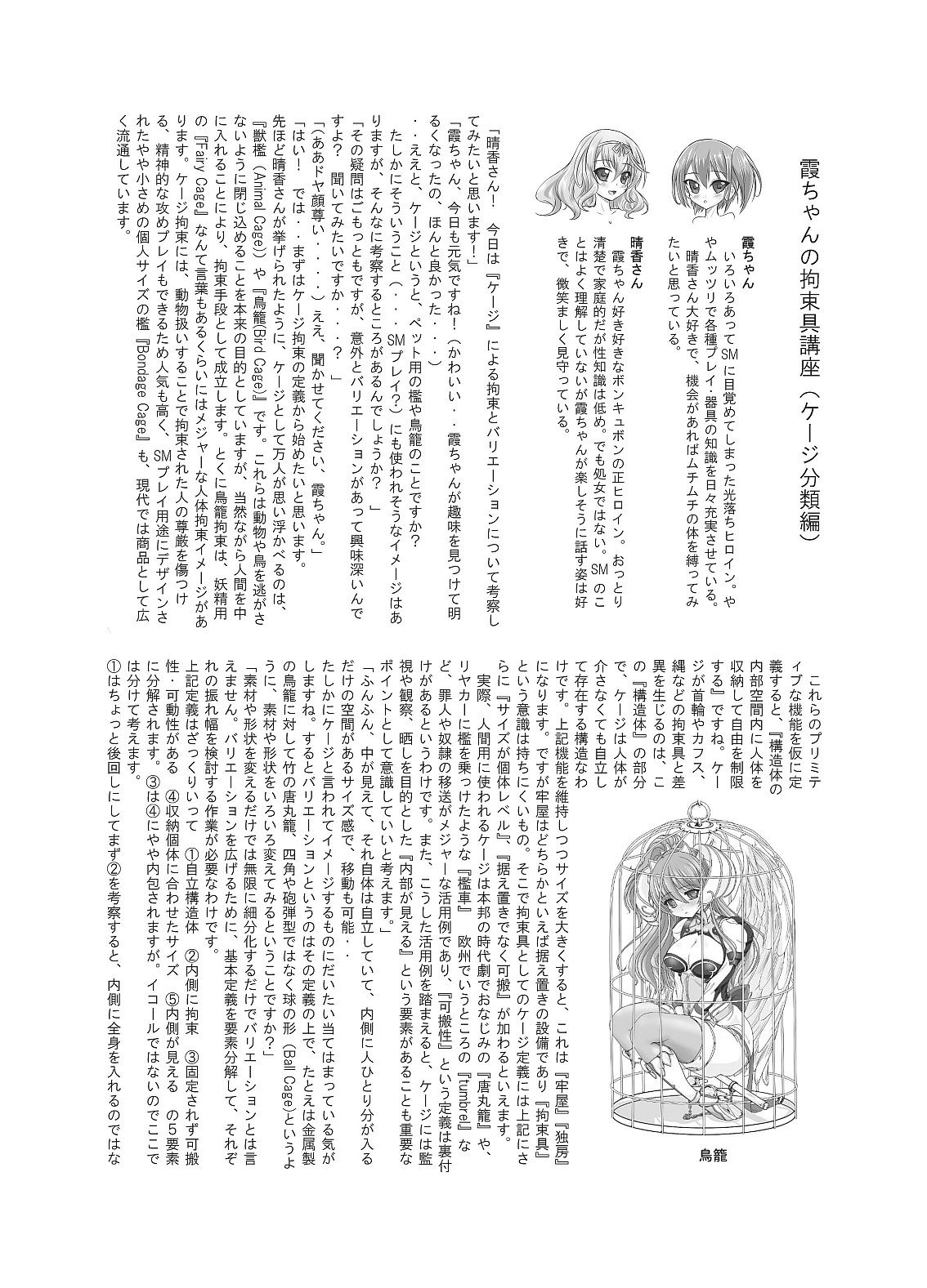 サンプル画像4:Restraint Knights 2(さんかく同盟) [d_171001]