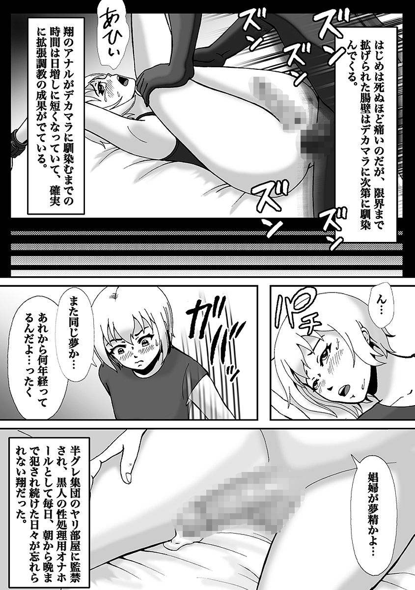 サンプル画像5:こんなふうにマゾにされていくのね。ニューハーフ娼婦露出調教旅行(Bカイマン) [d_171011]