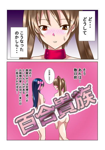 サンプル画像1:百合貴族(リリーダスト) [d_171419]