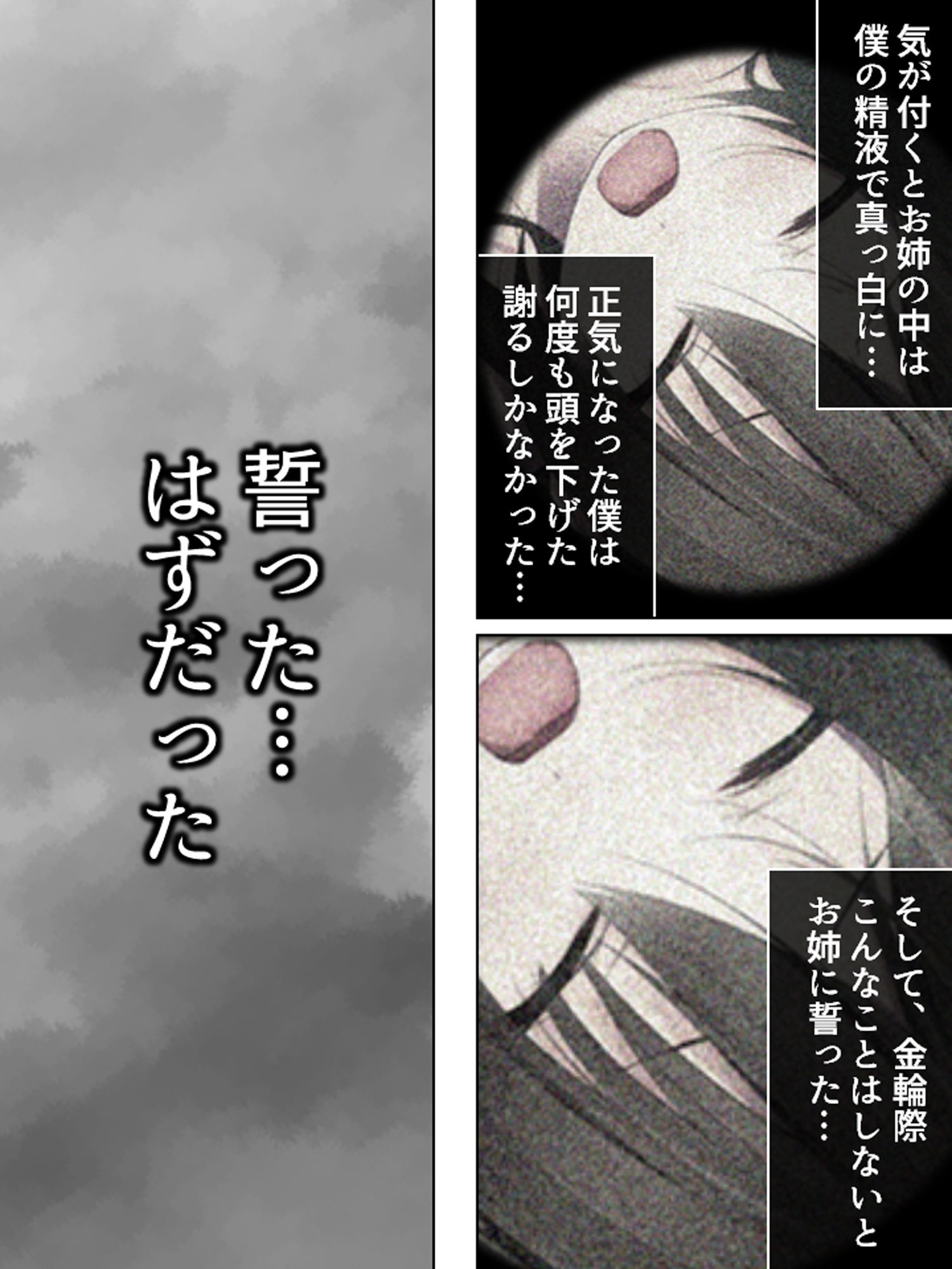 サンプル画像2:実姉レ●プ！背徳感が俺の股間を刺激して…… 上(アロマコミック) [d_171872]