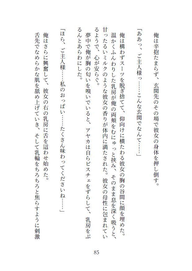 サンプル画像4:生き疲れ社畜と異世界メイド(ガンスミス・アイヤマ) [d_172856]