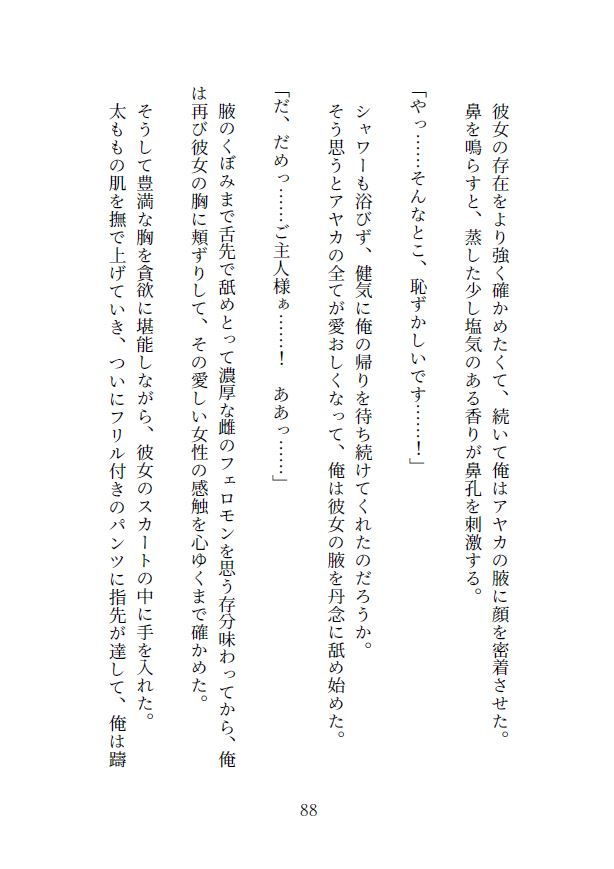 生き疲れ社畜と異世界メイドのサンプル画像 6