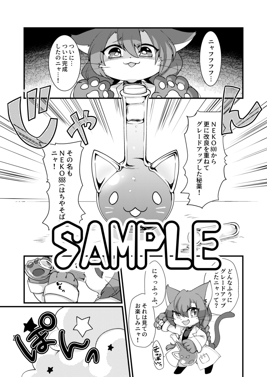 サンプル画像1:ここからはオトナのじかんニャ！(さんぐりあ) [d_173197]