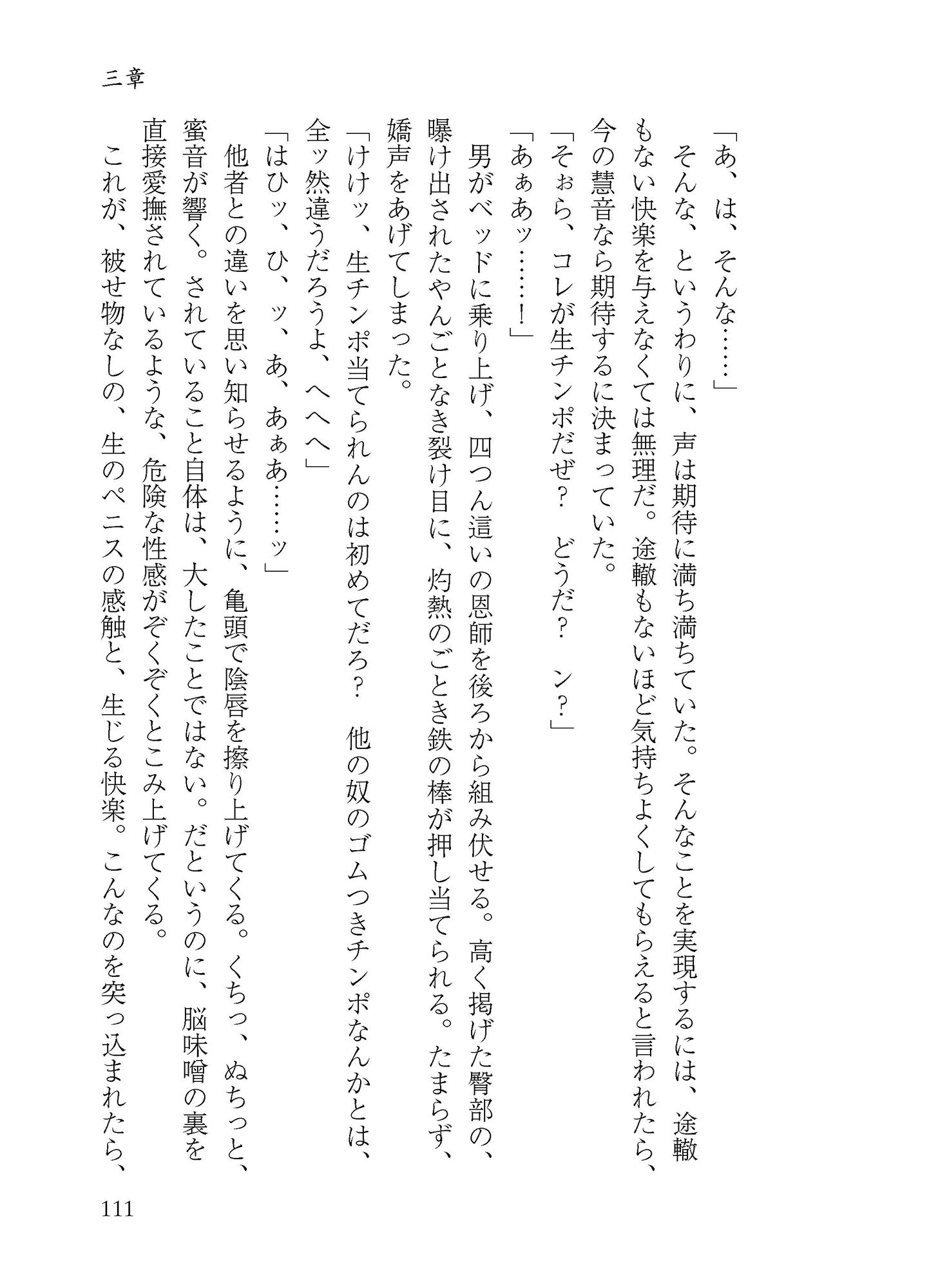 サンプル画像2:プレ淫エイジア(わめしば) [d_173226]