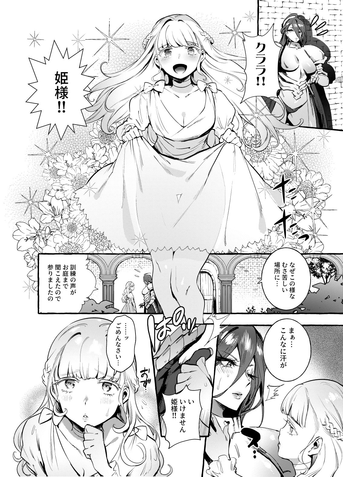 サンプル画像2:おちんぽ女騎士と処女姫(非凡) [d_173565]