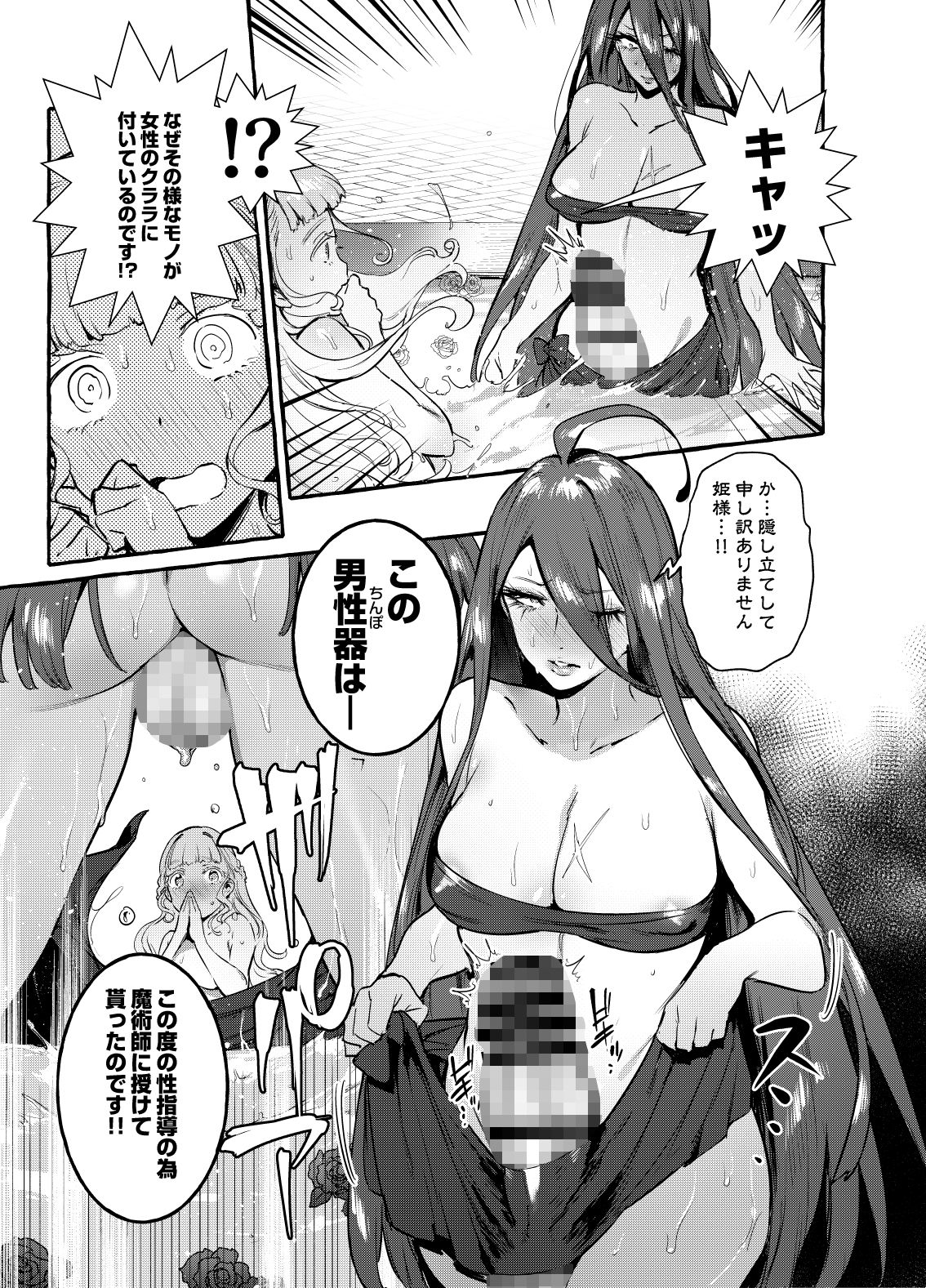 サンプル画像6:おちんぽ女騎士と処女姫(非凡) [d_173565]