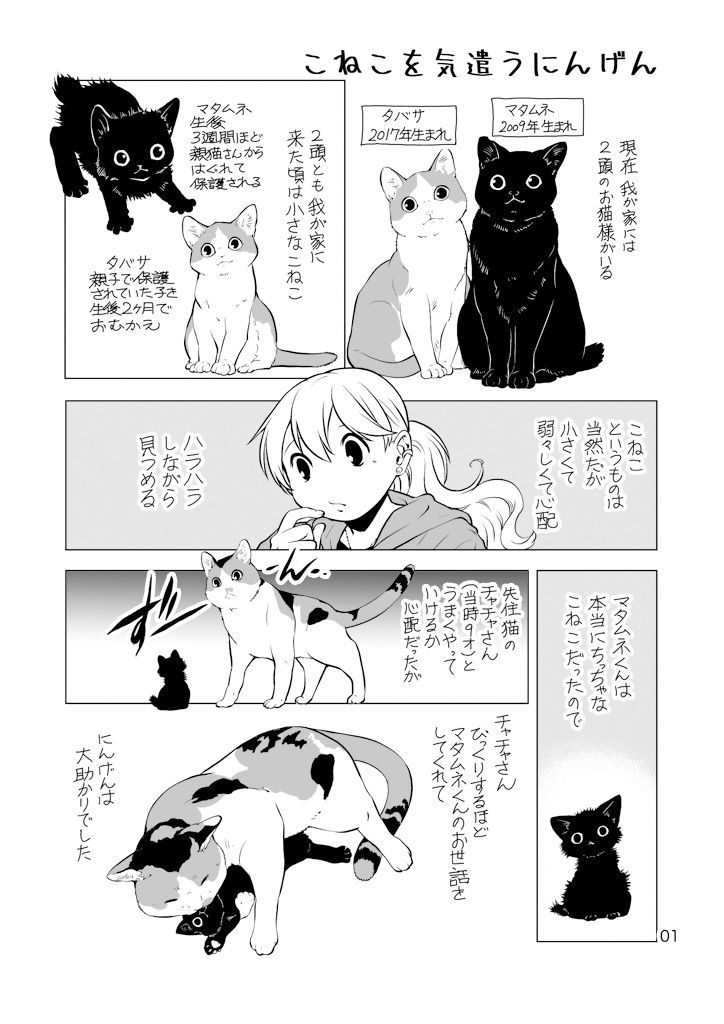 サンプル画像1:ねこと暮らすにんげん(乱痴気事虫所) [d_174433]