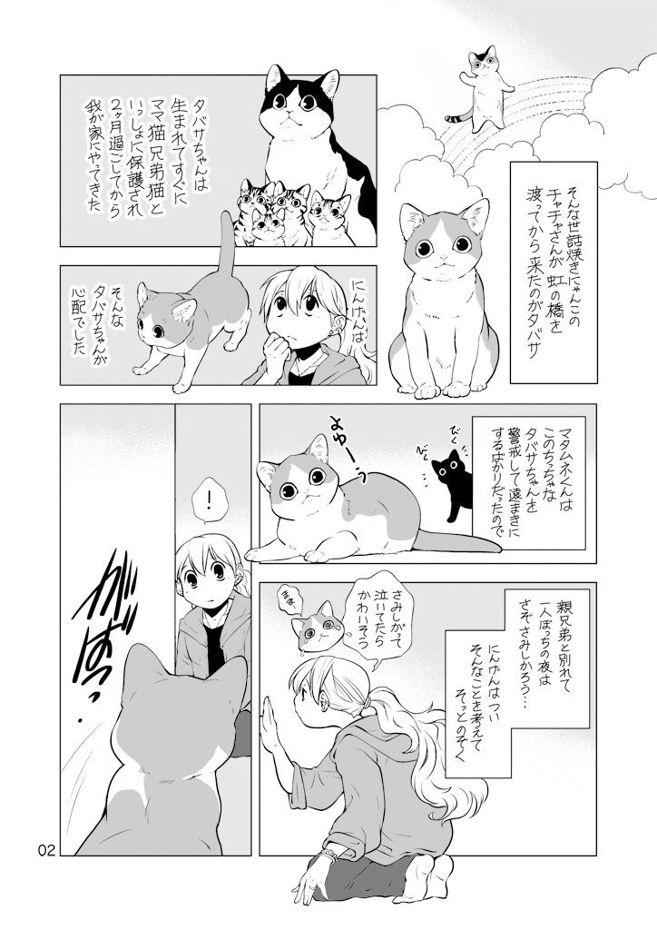 サンプル画像2:ねこと暮らすにんげん(乱痴気事虫所) [d_174433]