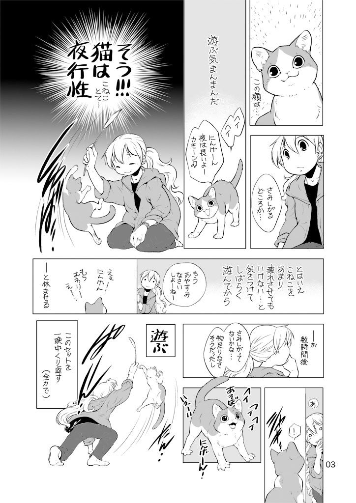 サンプル画像3:ねこと暮らすにんげん(乱痴気事虫所) [d_174433]