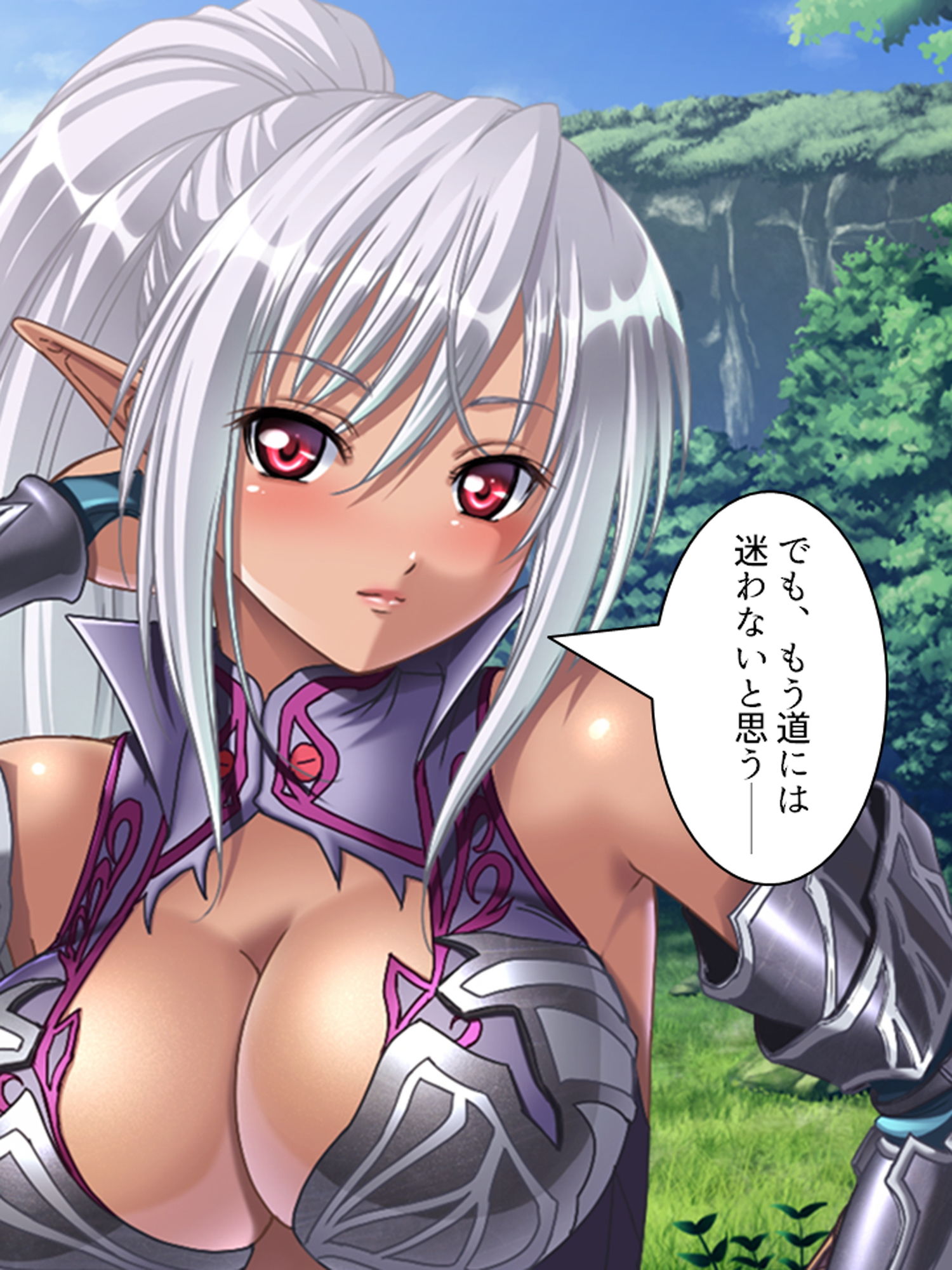 巨乳の女魔族を集めて成り上がり！ハーレム王国建国記 10巻