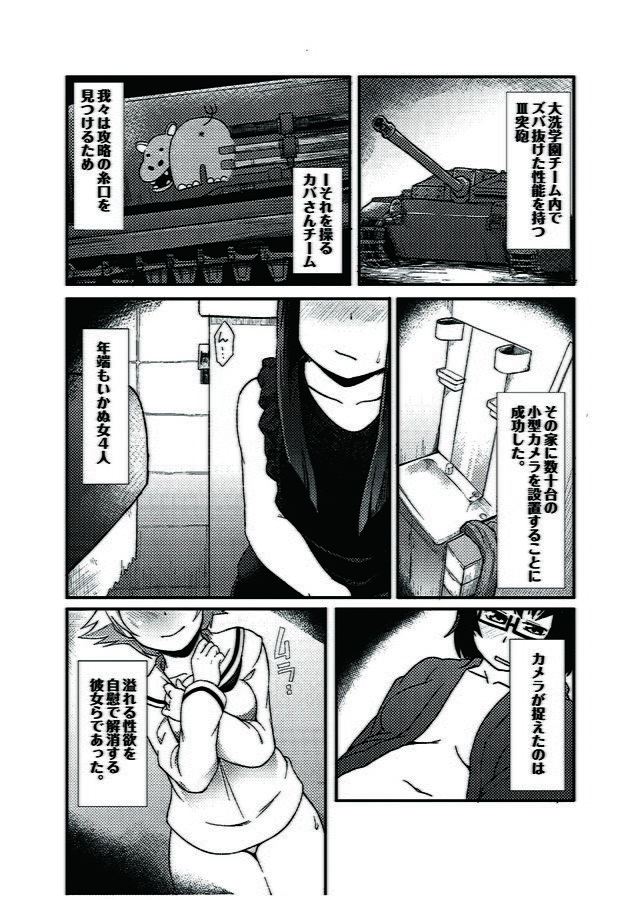 サンプル画像6:ティーガー写真塾2(富士浅間堂) [d_175543]