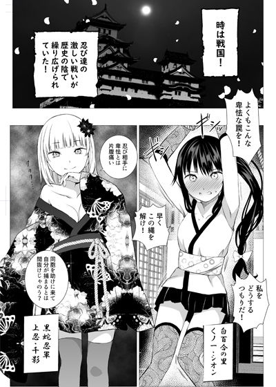 サンプル画像1:お忍び少女の遊び方(春待氷柱) [d_175779]