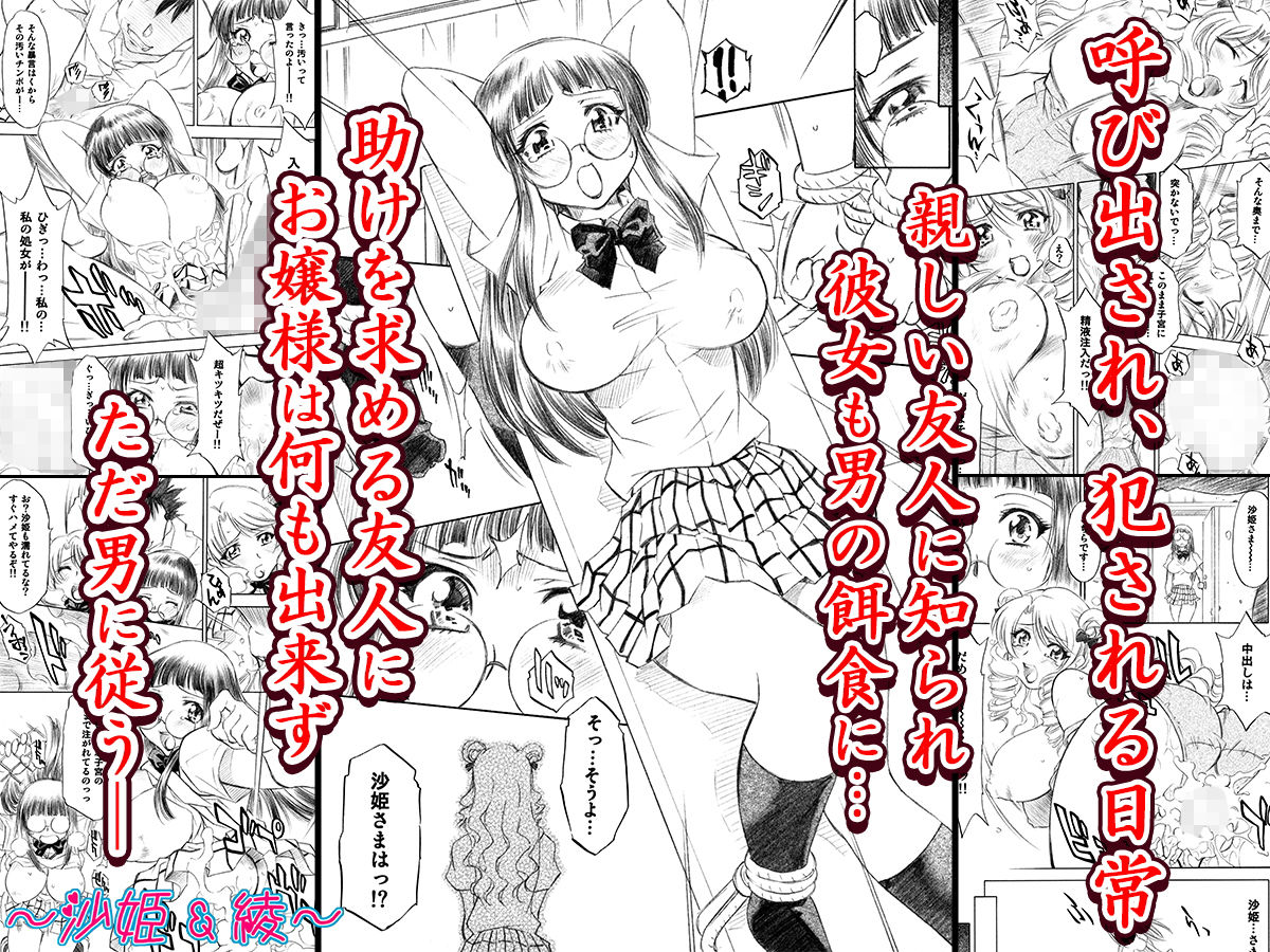 サンプル画像2:とらぶるっ娘～沙姫SP～(柚子茶日和) [d_175862]