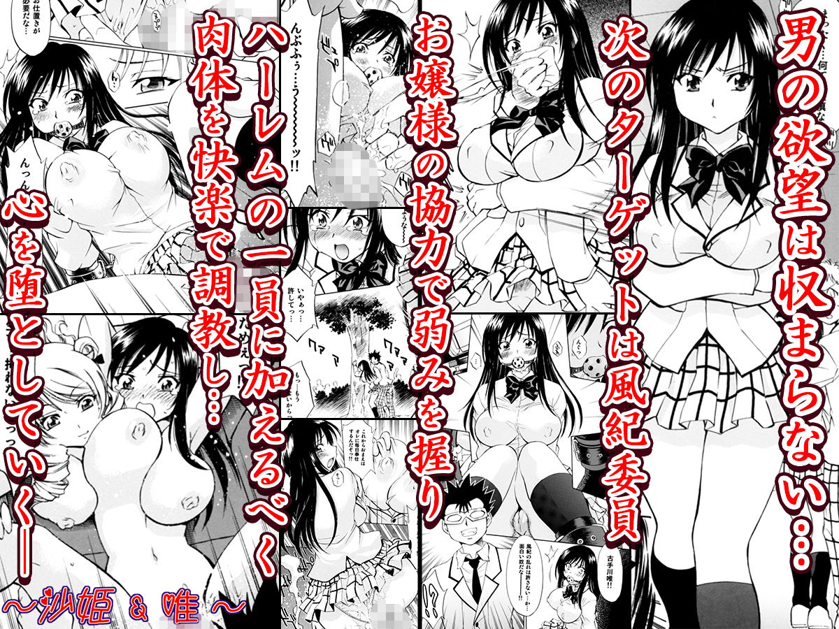 サンプル画像4:とらぶるっ娘～沙姫SP～(柚子茶日和) [d_175862]