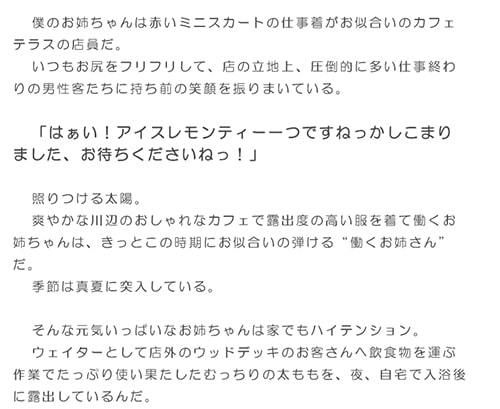 血の繋がった実のお姉ちゃんと熱帯夜に濃密初体験 童貞の僕の肉のソーセージは、お姉ちゃんのヴァギナで大人に成長!!