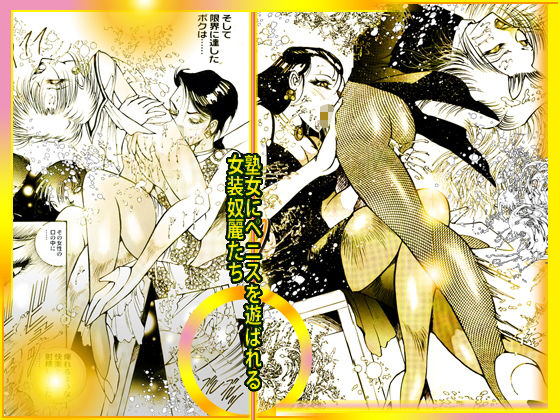 サンプル画像2:女装＆ふたなりBest集成「女装・奴麗祭」(DCプロジェクト) [d_177494]