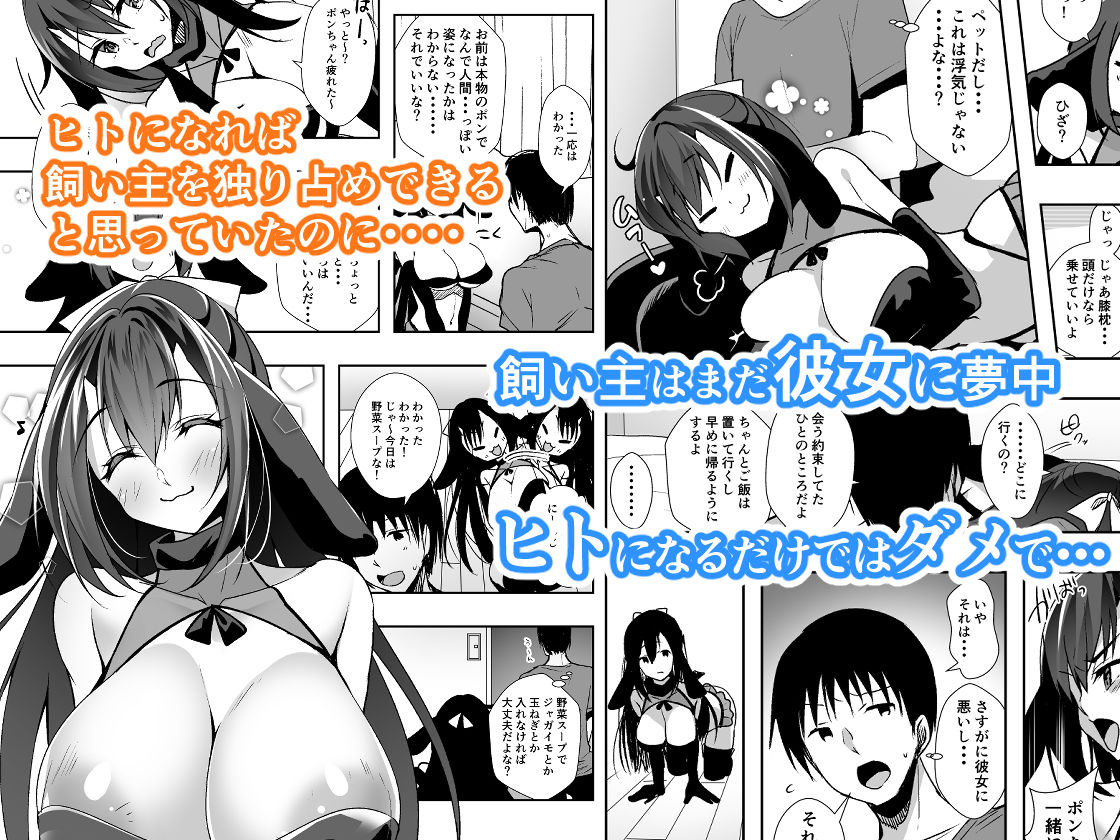 サンプル画像2:彼女が出来たらペットが病んでサキュバスになった話(PandaCotta) [d_177842]