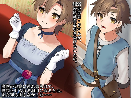 サンプル画像1:少年勇者がサキュバスの下僕になるまで(合丼来来) [d_180746]