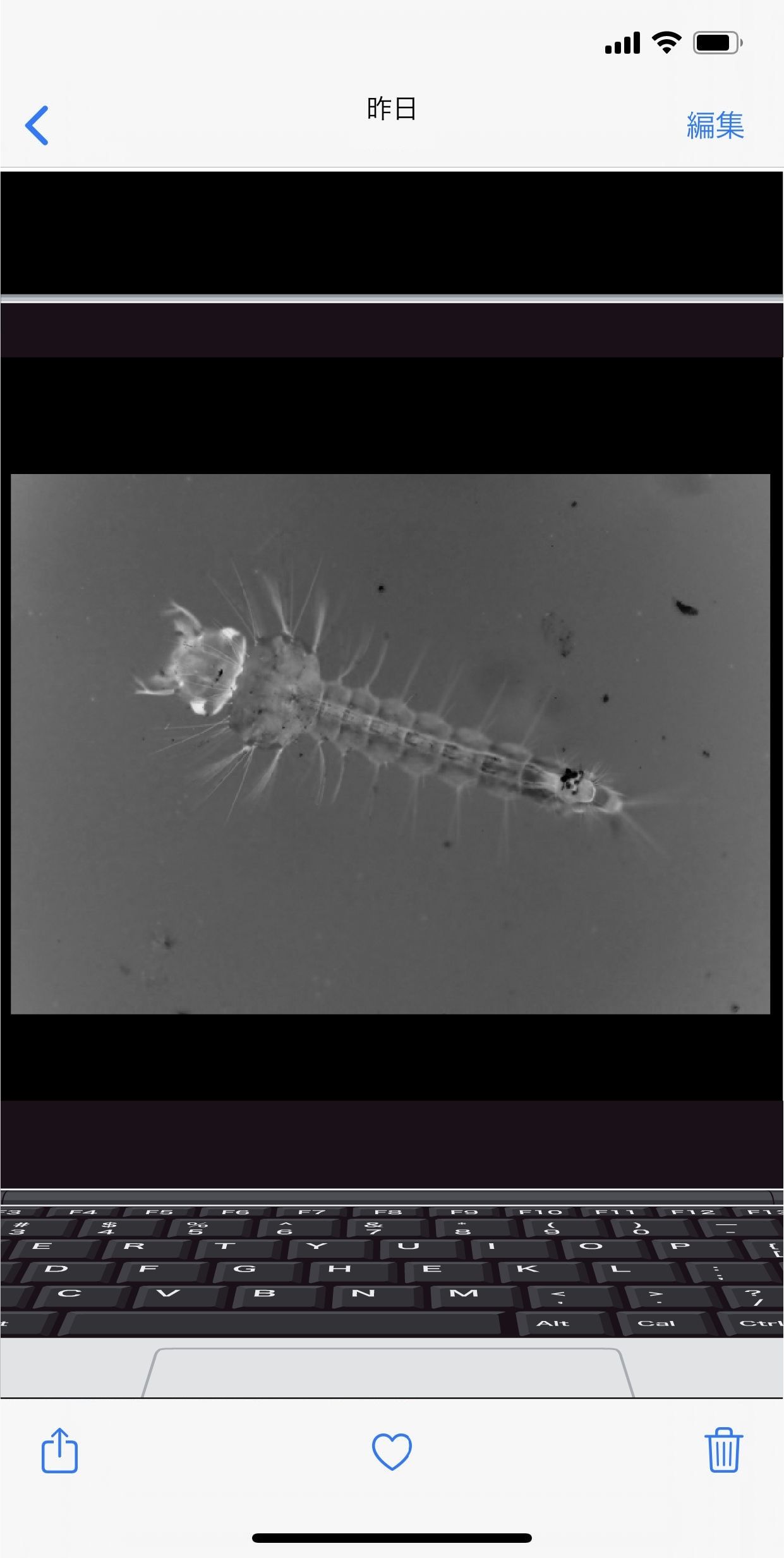 サンプル画像2:わたしの蟲姦遊び 蚊の幼虫（ボウフラ）編 第5話 全編(シングルママの日常) [d_181282]