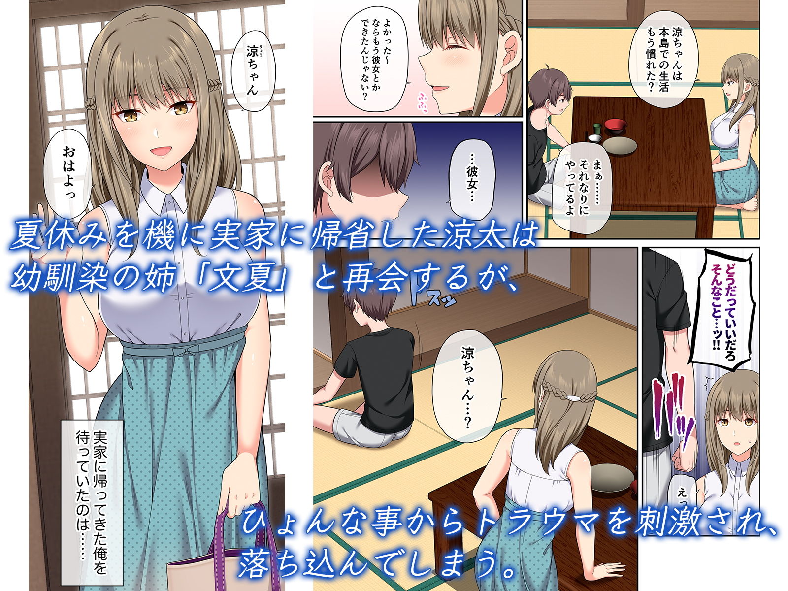 サンプル画像1:等身大の姉と夏(ふじ家) [d_184310]