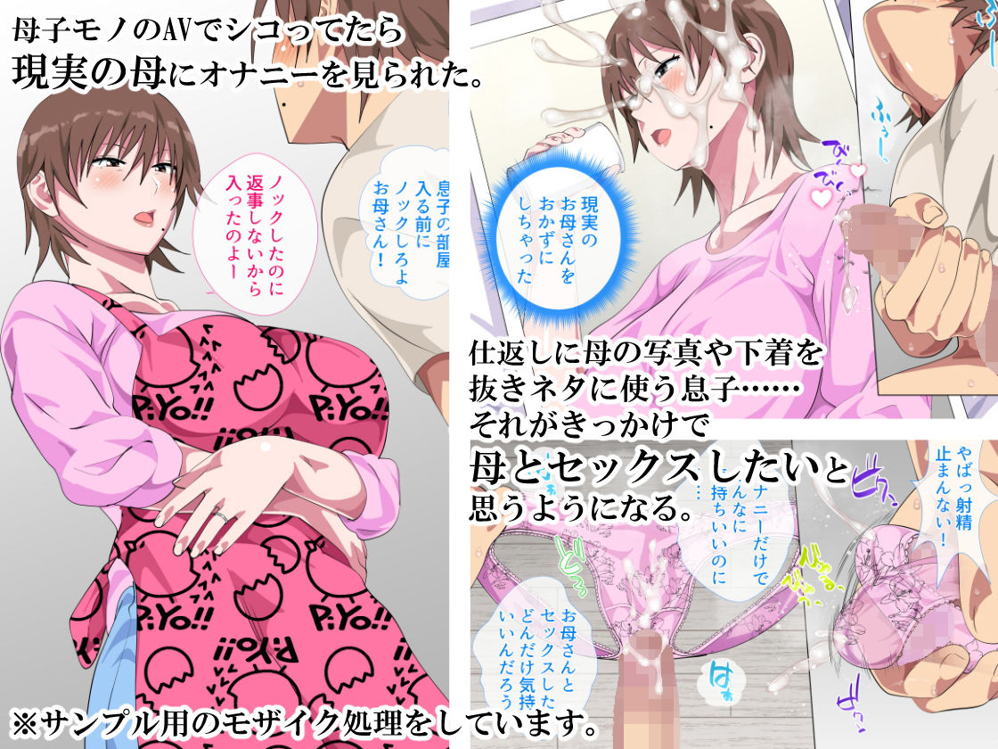 サンプル画像1:息子に何度も口説かれて根負けした母(さーくるスパイス) [d_185060]