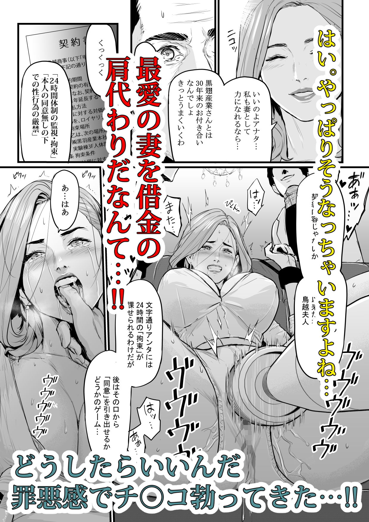 サンプル画像2:社長夫人快楽堕ち(野鳥) [d_185330]