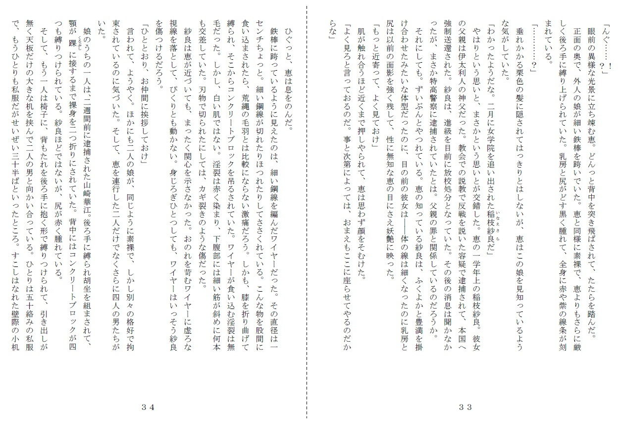 サンプル画像5:赤い冊子と白い薔薇(SMX工房) [d_186079]