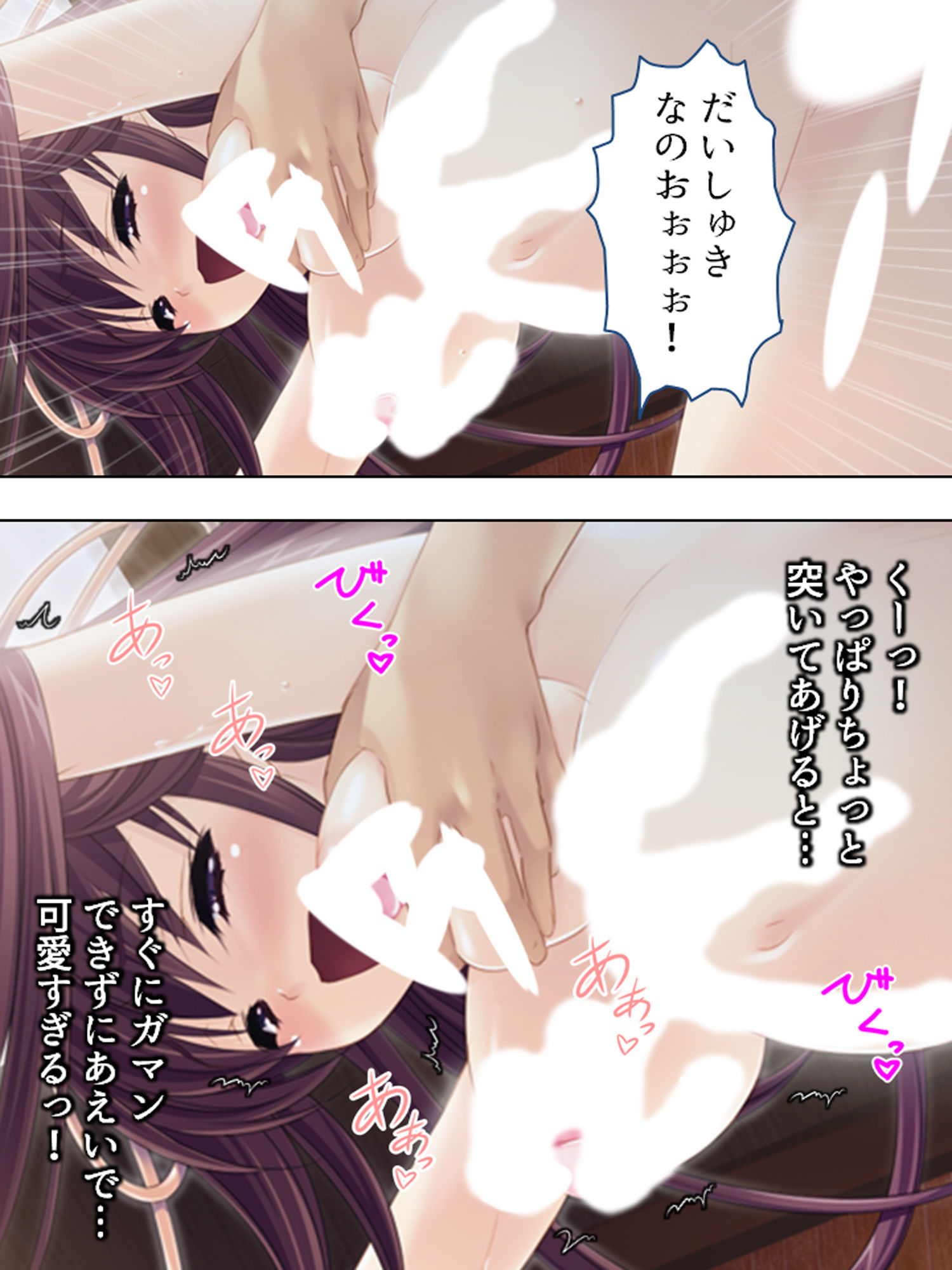 俺の仕事は跡継ぎ作り!?令嬢姉妹と子作りざんまい 下