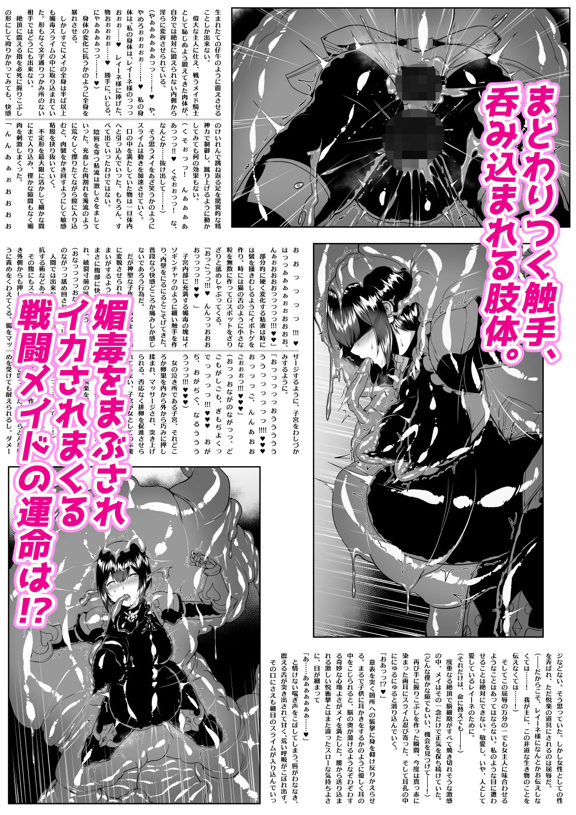 サンプル画像2:メイデン＆メイガス-メイド騎士の章-〜触手悦獄に沈む忠勇のメイド騎士と高貴なる魔術師〜(Palette Enterprise) [d_187480]