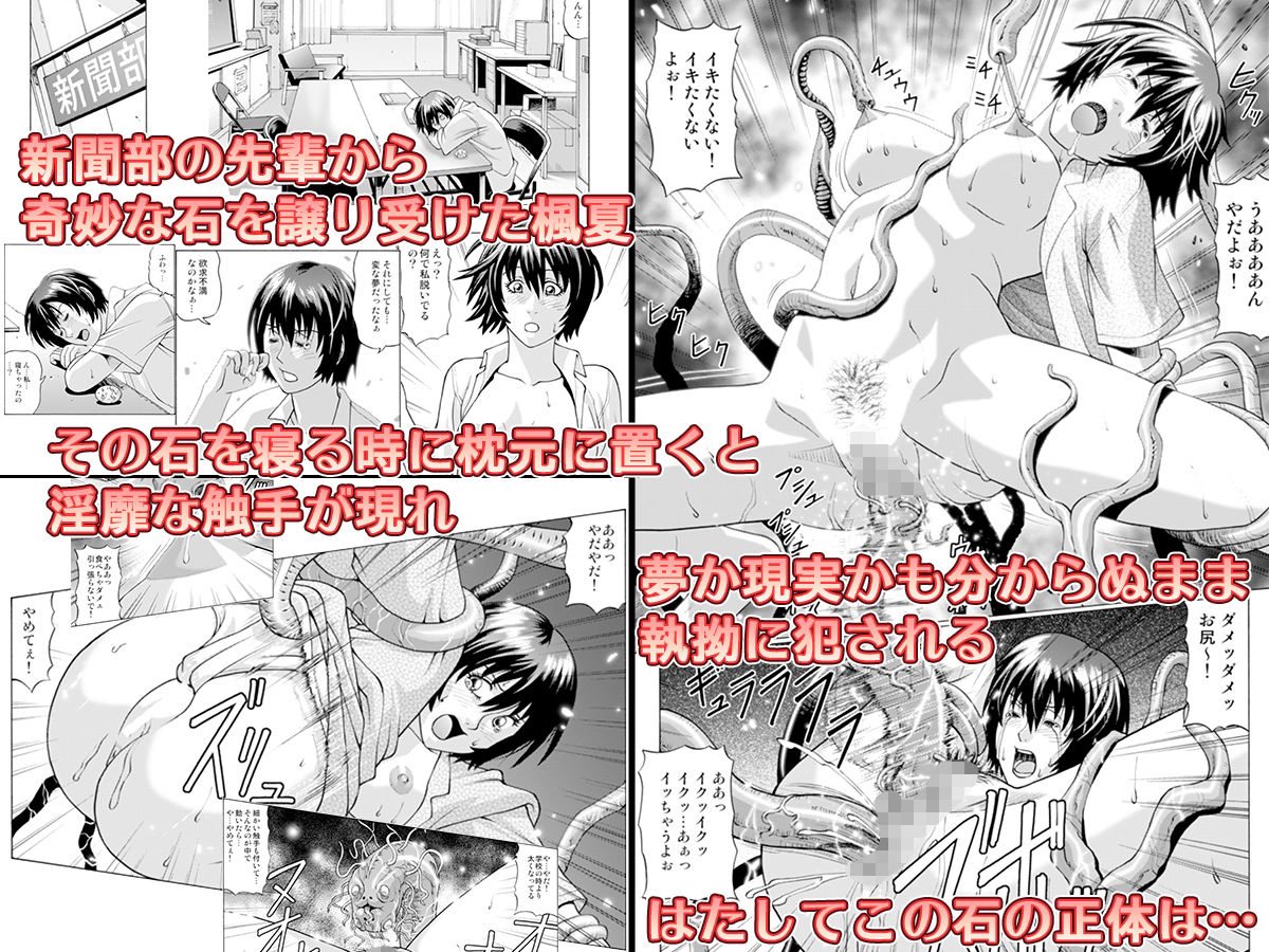 サンプル画像3:ジャッキーハウス3(ジャッキーハウス) [d_188379]